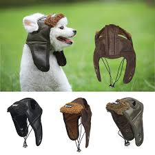 | meaning, pronunciation, translations and examples. Pet Dog Ridding Winter Windproof Helmets Cap Puppy Bike Motorcycle Hat Helmet Ebay