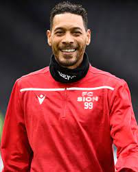 Guillaume hoarau is a french professional footballer who plays as a striker for swiss club sion. Guillaume Hoarau