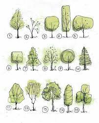Arboles Trees Drawing Tutorial Landscape Drawings Tree Drawing Simple