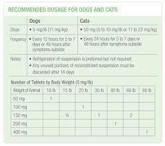 Maybe you would like to learn more about one of these? Amoxicillin Dog Dose