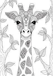 Tekenen en schilderen voor volwassenen en kinderen wij bieden 100 gratis kleurplaten van dieren zoals uilen, olifanten, katten, vogels en paarden. Kleurplaten Mandala Volwassenen Dieren Coloring And Drawing