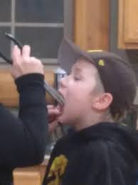 Cozy Corner Wildlife Feed