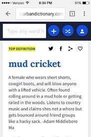 Mud Cricket Lmao This Is You Lmao Yes You Are A Mud Cricket Wish I Could Tag You In This H Words Laugh At Yourself Words