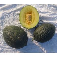 Agrosemens Jardin Graines Graine Semences Semence Bio Melon Vert Olive D Espagne