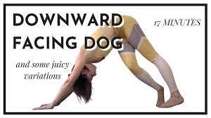 Place the loop around the doorknob on the outside of the door, hold on to the loop from the inside of the door, and close the door securely. Downward Dog And Some Juicy Variations Youtube