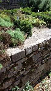 Der Mittelalterliche Garten Von Saint Antonin Noble Val In Frankreich Garten Pflanzen Pflanzgefasse
