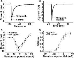 It might surprise you that these arachnids are on the shy side. Physiological And Biochemical Characterization Of Egg Extract Of Black Widow Spiders To Uncover Molecular Basis Of Egg Toxicity