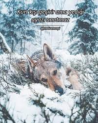 pin on motivasyon sozleri