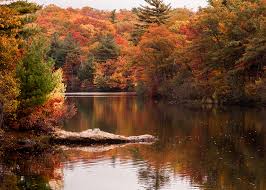 Image result for Massachusetts fall scenery