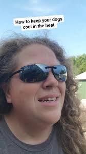 How do you keep your dog cool in the heat? Wet down? Ice? Fan? Water?  Portable ac? Carry them? Use an umbrella to shade them? Stay home? *no dogs  were placed in any refrigerators at any time during ...