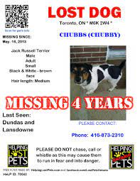 Great staff that are there to really help. Lost Dogs Toronto Home Facebook