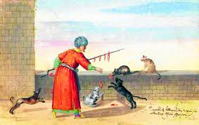 Mubaligh islam describe khwab ki tabeer urdu. Love Of Cats A Sign Of Faith In Islam Daily Sabah