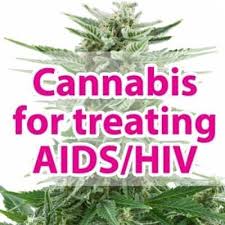 Kann Man Als Cannabiskonsument Blut Spenden Rqs Blog