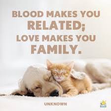 An Everlasting Institution To Praise 159 Family Quotes Family Quotes Friends Like Family Love My Family Blended families make the best families! family quotes