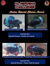 Cara cetak ikan cupang avatar super hampir mirip dengan cetak avatar namun terusan pilihannya yang tip dan cara mencetak ikan cupang avatar dengan indukan yg harg.nya mudah terjangkau. Arifbetta Ikan Laga On Twitter Bagi Avatar Yang Ada Red Wash Kita Kita Boleh Kelaskan Di Dalam Kategori Hybrid Tetapi Pastikan Warna Merah Adalah Balance Rationya Pada Setiap Finnage