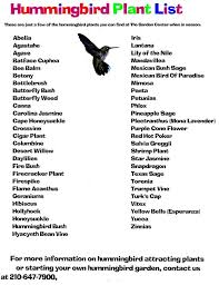 Hummingbird Garden List I Used I Have Hbs Around All The Time But Not In Recent Years Time To Hummingbird Garden Plan Hummingbird Garden Hummingbird Plants