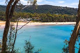 14 Best Things To Do In Umina Beach Icentralcoast
