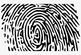 Gratis jari, jari tengah, kartun, royaltyfree, gambar, tangan, seni, jari telunjuk. Gambar Sidik Jari Png 800x480 Png Download Pngkit