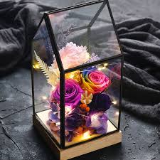 Preserved Roses In Glass Dome Never Withered Rose With Room Shape Glass Valentine Gift Preserved Flower How To Preserve Flowers Flower Room Diy Xmas Gifts