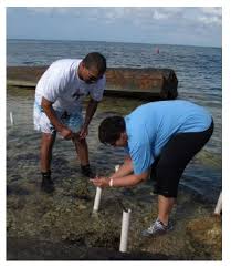 Ministry, Department Of Environment Celebrate Our 'Paradise'