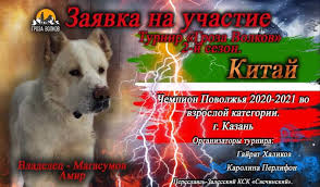 Сборник рассказов глубина (выпуск 22) (читает елена федорив, амир рашидов, сергей бельчиков, олег булдаков, вадим чернобельский, алексей дик, владимир князев, иван савоськин, роман волков. Turnir Groza Volkov 2 J Sezon