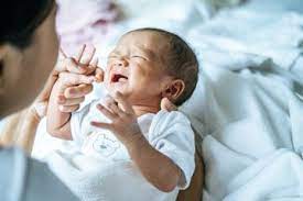 Nama berbulan ibu cari nahh sekali keluar belalai. Arti Mimpi Melahirkan Bayi Laki Laki Yang Tidak Banyak Orang Tahu Ternyata Berkaitan Dengan Keberuntungan Semua Halaman Nakita