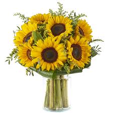 Vuoi fare auguri di compleanno a un'amica in maniera semplice ma originale? Sorriso Di Girasoli Girasoli Gialli Floraqueen