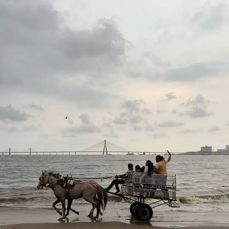 🐎Horse cart ride at📍Dadar beach @streetphotographymumbai @chalo_chalte_mumbai @wahhmumbai @mumbai_life_line @wassup.mumbai @mumbai_classic @mumbai_meri_jaan01 @mumbai.sheher @mumbai_the_city_of_dream___ @aamchi_mumbai_ @mumbai_photographers ...