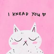 All night between going to. What Is Cat Kneading And Why Do Cats Knead Their Owners Paperblog