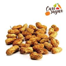 Cara menanam kacang tanah yang baik dan benar, agar gambar cara menanam kacang tanah. Jual Cari Sayur Kacang Tanah Kulit 500 Gr Murah Mei 2021 Blibli
