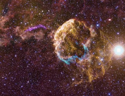  Captan por primera vez la onda expansiva de una supernova atravesando  una estrella  En un momento histórico para la astronomía, científicos  lograron observar por primera vez la onda expansiva de