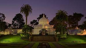 Maybe you would like to learn more about one of these? Conservatory Of Flowers Lights Up For Night Bloom Kfog Fm