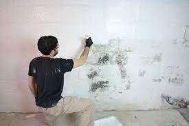 I toyed with the idea of using a paint sprayer but decided against it. Waterproofing Basement Walls With Drylok Paint 5 Steps With Pictures Instructables