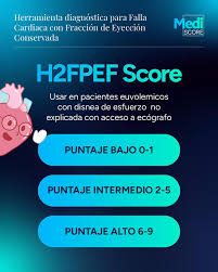 Image result for H2FPEF Score