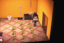Stop Selling Turnips… You'Re Upsetting Daisy Mae : R/Animalcrossing