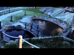 Dream world guesthouse reviews & deals, ranau, sabah, malaysia. Kenangan Dream World Resort Kundasang Sabah Youtube