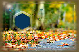Cb backgrounds hold high definition clarity and available in full hd. Get 16 18 Background Hd Photoshop Background Jpg