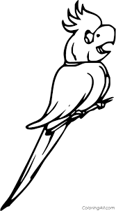 When it gets too hot to play outside, these summer printables of beaches, fish, flowers, and more will keep kids entertained. Cockatiel Coloring Pages Coloringall