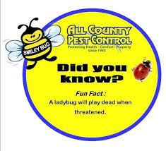 We provide pest, termite, and general contracting services for fountain valley, and the orange county area. All County Pest Control Home Facebook