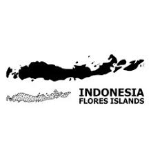 Meskipun keseruan gambar itu nampak biasa, tetapi foto itu dapat mengganti mood anda, dari yang awalnya boring bisa menjadi ceria waktu melihatnya. Flores Indonesia Vector Images Over 320