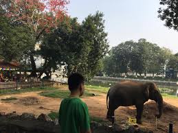 Thứ nhìn tưởng than nhưng làm kì công nửa tháng mới. Cong Vien Thá»§ Lá»‡ áº£m Ä'áº¡m Giá»¯a Bao Covid 19 Bao Phá»¥ Ná»¯ Viá»‡t Nam