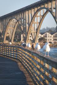 Birds Of Central Oregon Coast Newport Oregon Public Fishing Pier Yaquina Bay Bridge Oregon Coast Pier Fishing Bay Bridge