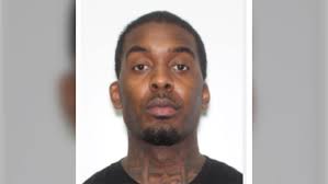 Elnaz Hajtamiri abduction case: Suspect in kidnapping makes court  appearance