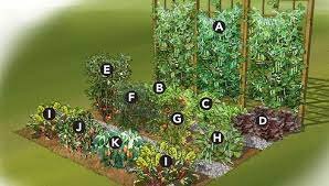Easy Summer Vegetable Garden Plan Garden Layout Vegetable Vegetable Garden Planning Small Vegetable Gardens