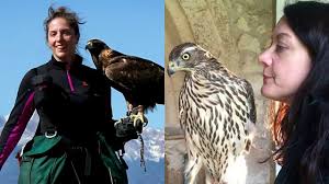 A person who breeds or trains hawks or other birds of prey for taking birds or game. Bbc World Service The Conversation Falconers