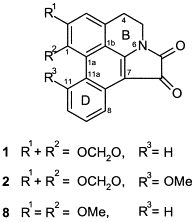 Image result for Lettowianthus stellatus