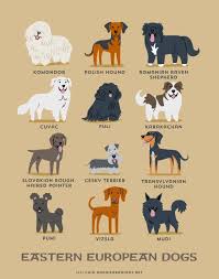 Dog Breeds Print Eastern European Dogs Art Print Dog Breeds Etsy Dog Breeds Dog Drawing Different Dogs