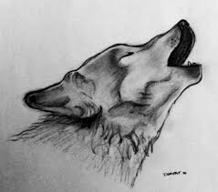 Dessin Loup Noir Et Blanc Loup Dessin Dessin Noir Et Blanc Maison Dessin