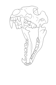 Wolf Skull Lineart Free By Blue Rakuen Animal Skull Drawing Skulls Drawing Wolf Skull
