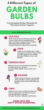 While you could theoretically use most bulbs indoors, some will be more challenging than others. Ep16 Improving Curb Appeal Our Home Diy Landscape Project Garden Bulbs Landscape Projects Planting Bulbs